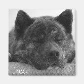 インカ マグネット (正面)