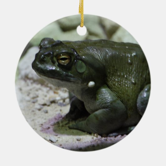 インキリア セラミックオーナメント (裏面)