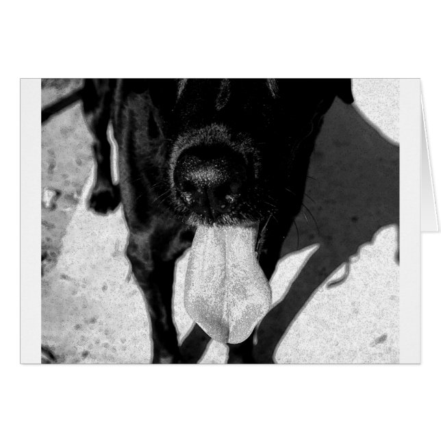 インクのようなLulu (正面横)