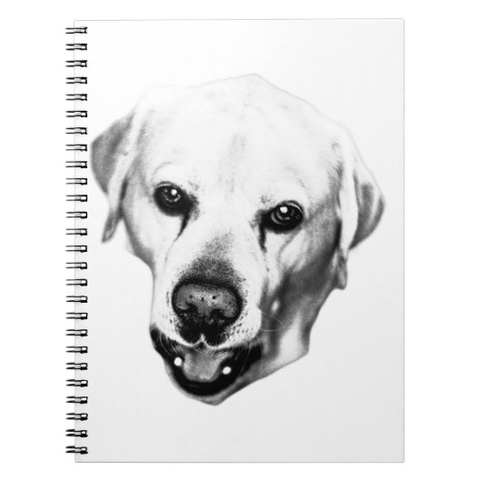 インクの反射 ノートブック (正面)