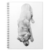 インクの反射 ノートブック (正面)