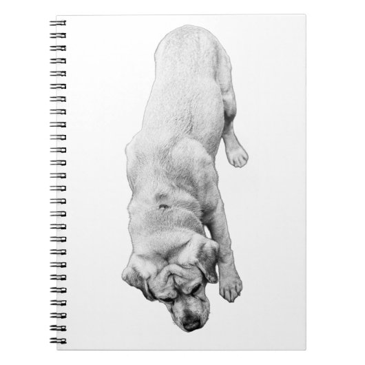 インクの反射 ノートブック (正面)