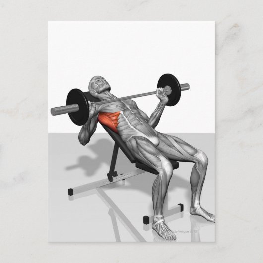 インクラインのベンチプレス2 ポストカード (正面)