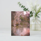 イングランドのRHS Wisleyの池 ポストカード (スタンド正面)