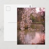 イングランドのRHS Wisleyの池 ポストカード (正面/裏面)