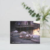 イングランド湖地区のウィンダミア シーズンポストカード (スタンド正面)