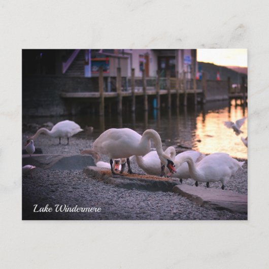 イングランド湖地区のウィンダミア シーズンポストカード (正面)