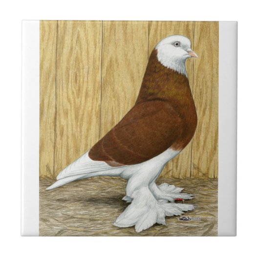 イングランド西部タンブラーレッドバードヘッド タイル (正面)