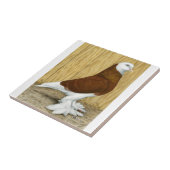 イングランド西部タンブラーレッドバードヘッド タイル (側面)