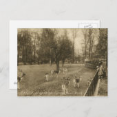 イングランド,オックスフォード,マグダレンヴィンテージ ポストカード (正面/裏面)