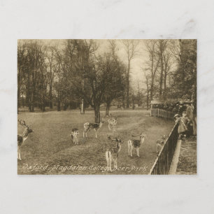 イングランド，オックスフォード，マグダレンヴィンテージ ポストカード