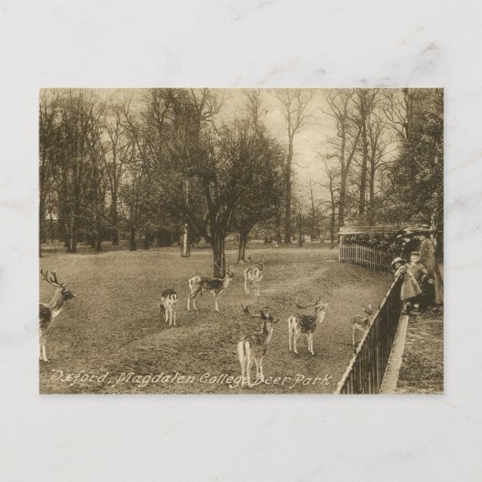 イングランド,オックスフォード,マグダレンヴィンテージ ポストカード (正面)