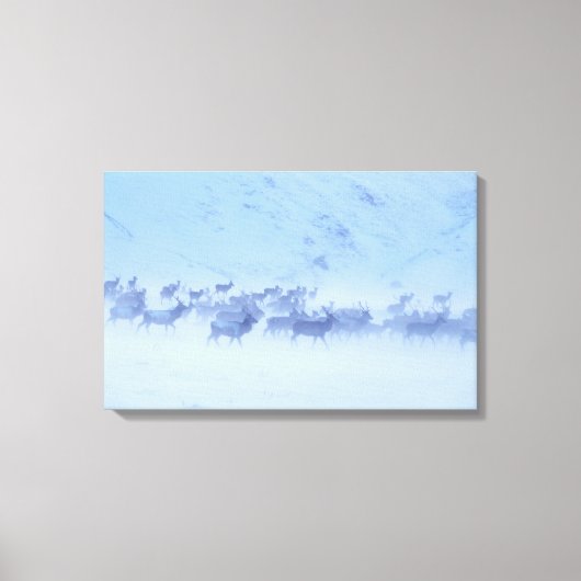 イングランド キャンバスプリント (正面)