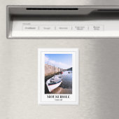 イングランド，コーンウォール州，ムーセホール マグネット (インサイチュ (食洗機))