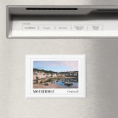 イングランド，コーンウォール州，ムーセホール マグネット (インサイチュ (食洗機))