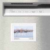 イングランド，コーンウォール，ニューリム マグネット (インサイチュ (食洗機))