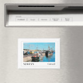 イングランド,コーンウォール,ニューリン マグネット (インサイチュ (食洗機))