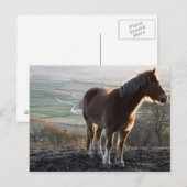 イングランド，ダービシャー ポストカード (正面/裏面)