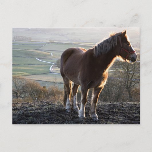 イングランド，ダービシャー ポストカード (正面)