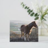 イングランド，ダービシャー ポストカード (スタンド正面)