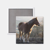 イングランド，ダービシャー マグネット (正面/裏面)