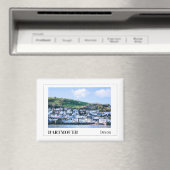 イングランド，デボン，ダートマス マグネット (インサイチュ (食洗機))