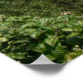 イングランド,トーキー,ドディコムベ湾 ポスター (角)