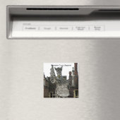 イングランド，ドラゴン，ハンプトンコート マグネット (インサイチュ (食洗機))