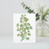 イングリッシュアイビー ポストカード (スタンド正面)