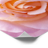 イングリッシュカントリーガーデンバラポスター ポスター (角)