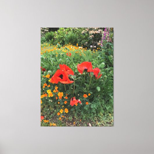 イングリッシュガーデンに咲く大きな赤いケシ キャンバスプリント (正面)