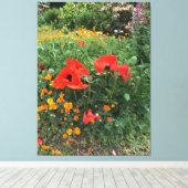 イングリッシュガーデンに咲く大きな赤いケシ キャンバスプリント (インサイチュ (ウッドフロア))
