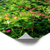 イングリッシュガーデンのコテージ ポスター (角)