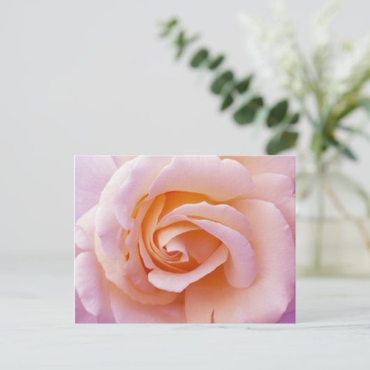 イングリッシュガーデンピーチアンドピンクローズ ポストカード (スタンド正面)