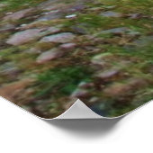 イングリッシュガーデンホリホックスと花 ポスター (角)