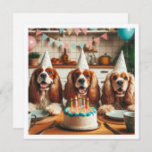 イングリッシュコッカースパニエル犬カード、スパニエル犬誕生日 招待状 (正面/裏面)