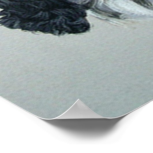 イングリッシュコッカースパニエル犬ドッグポスタープリント ポスター (角)