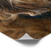 イングリッシュコッカースパニエル犬ドッグポスター ポスター (角)