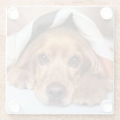 イングリッシュコッカースパニエル犬ドッグ ガラスコースター (裏面)