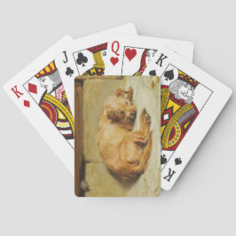 イングリッシュコッカースパニエル犬ドッグ（バイブリトン・リヴィエール） トランプ