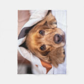 イングリッシュコッカースパニエル犬ドッグ フリースブランケット (正面)