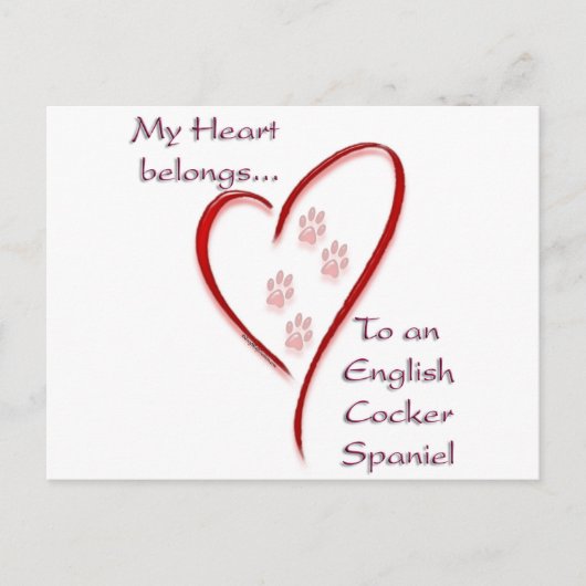 イングリッシュコッカースパニエル犬ハートが属する ポストカード (正面)