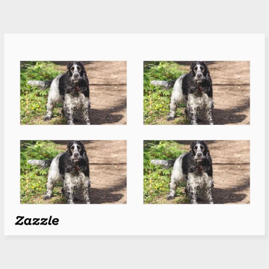 イングリッシュコッカースパニエル犬ブラックローンフル 長方形シール (シート)