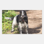 イングリッシュコッカースパニエル犬ブラックローンフル 長方形シール (正面)