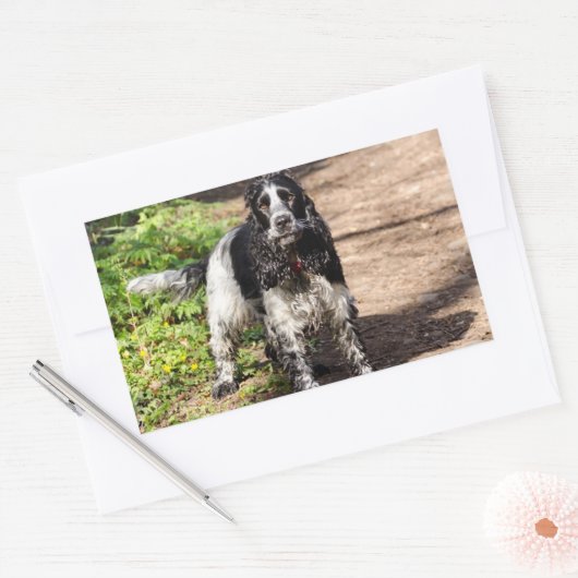 イングリッシュコッカースパニエル犬ブラックローンフル 長方形シール (封筒)