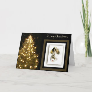 イングリッシュコッカースパニエル犬 シーズンカード