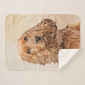 イングリッシュコッカー絵画スパニエル犬ズ – オリジナルドッグアート シェルパブランケット (正面(横))