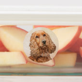 イングリッシュコッカー絵画スパニエル犬ズ – オリジナルドッグアート ラベル (貼付)