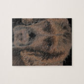 イングリッシュスプリングドッグ ジグソーパズル (横)