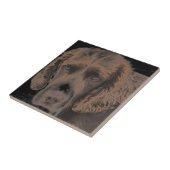 イングリッシュスプリングドッグ タイル (側面)